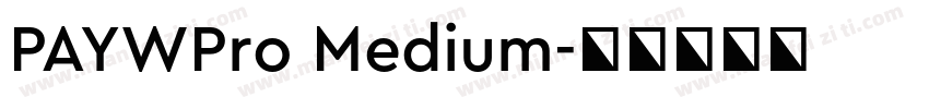 PAYWPro Medium字体转换